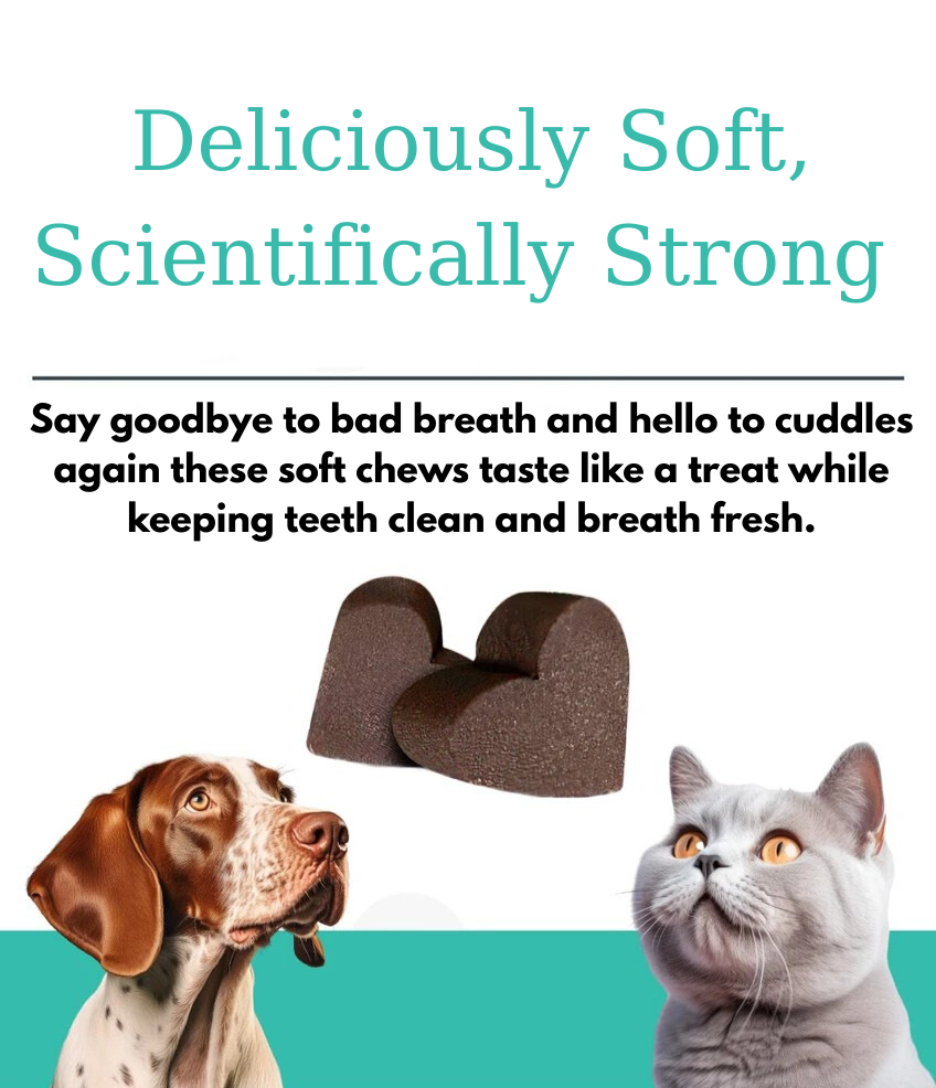 Advanced Dental Care Chews for Dogs & Cats