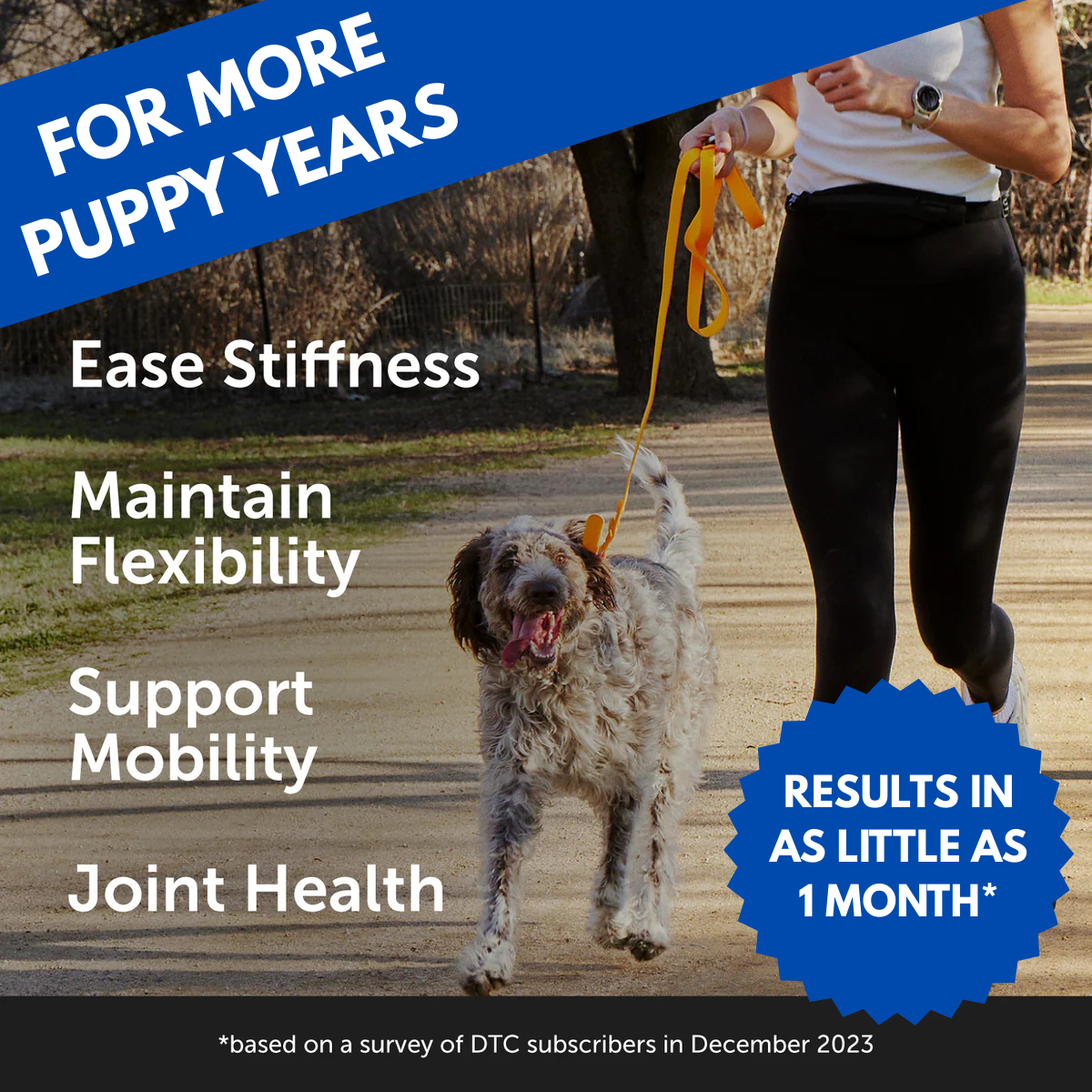 Advanced Hip & Joint Support Chews for Dogs & Cats