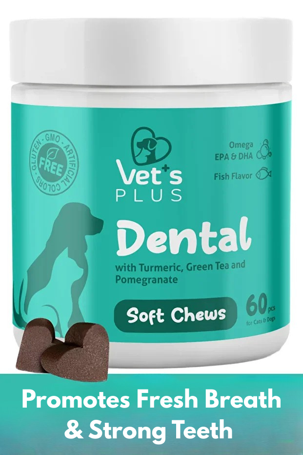 Advanced Dental Care Chews for Dogs & Cats