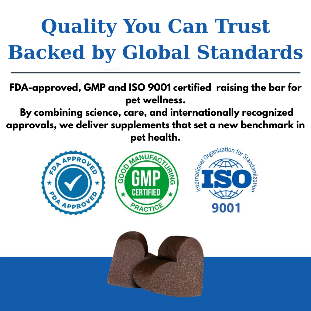 Advanced Hip & Joint Support Chews for Dogs & Cats