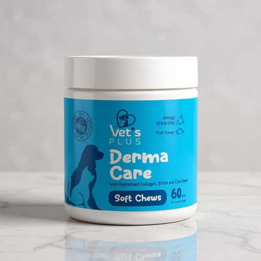 Advanced Skin & Coat Support Chews for Dogs & Cats