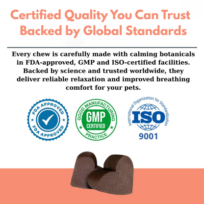 Advanced Calming Support Chews for Dogs & Cats