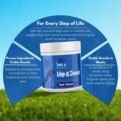 Advanced Hip & Joint Support Chews for Dogs & Cats