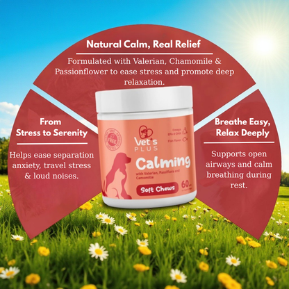 Advanced Calming Support Chews for Dogs & Cats